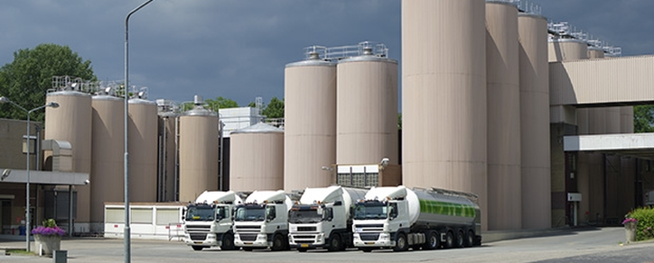 dairyplant724
