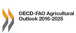OECDFAO_cover260