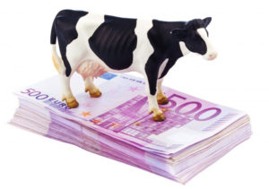 cow-EUR-724