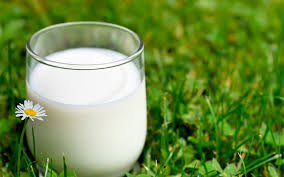 milk-ukraine